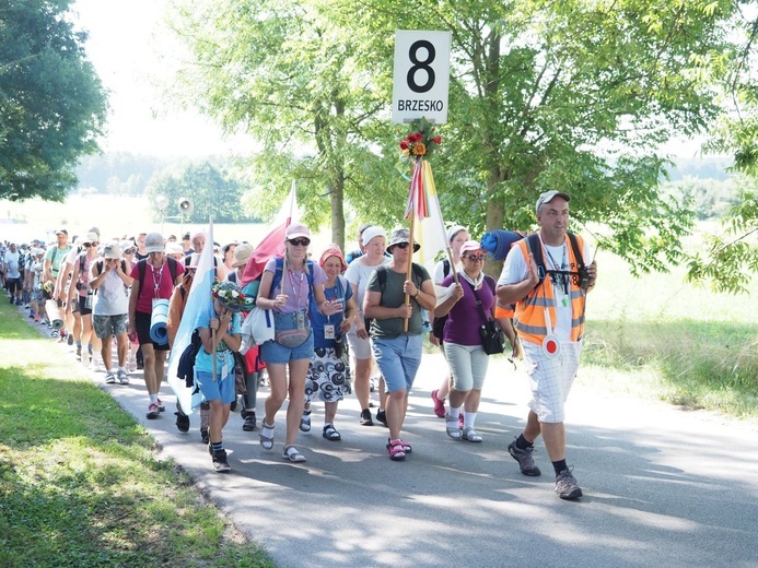 Grupa 8
