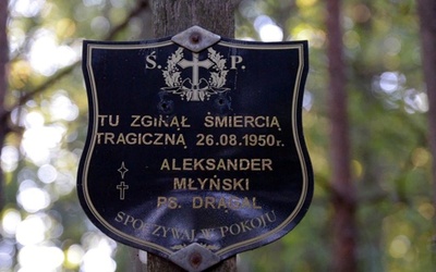 Przy symbolicznym grobie Aleksandra Młyńskiego "Drągala" i ostatnich Żołnierzy Wyklętych Ziemi Radomskiej w lesie w Kolonii Wawrzyszów odbędzie się apel poległych i zostaną złożone wiązanki.