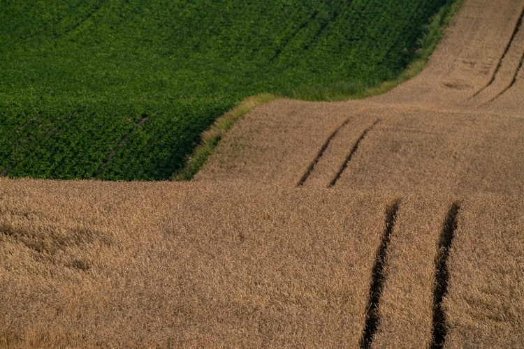 Kamienne krzyże bruśnieńskie