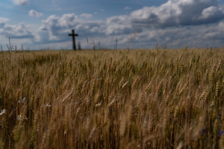 Kamienne krzyże bruśnieńskie