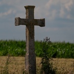 Kamienne krzyże bruśnieńskie