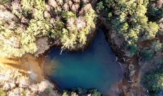 Nadleśnictwo Świerklaniec