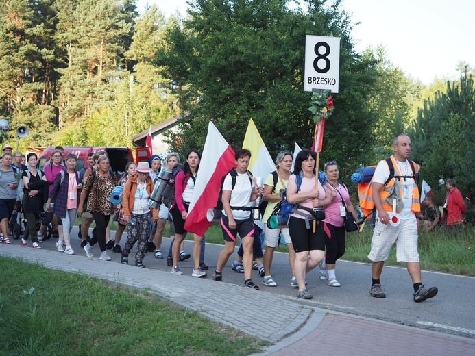 Grupa 8