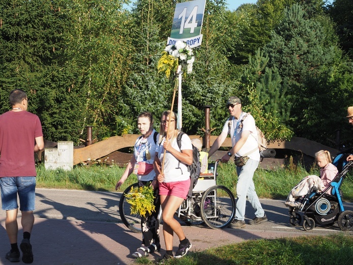 Grupa 14