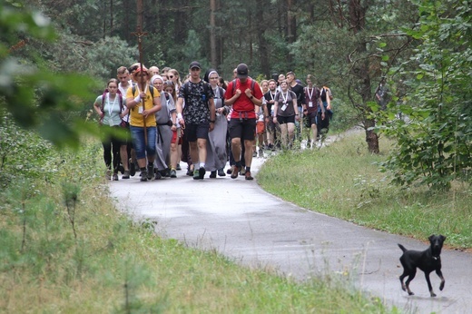 16. Pielgrzymka Młodych Archidiecezji Katowickiej