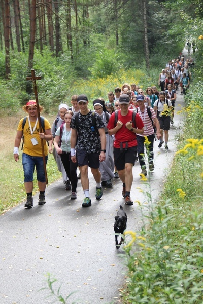 16. Pielgrzymka Młodych Archidiecezji Katowickiej