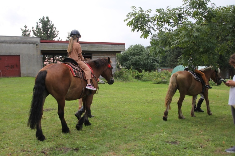 Piknik dominikański