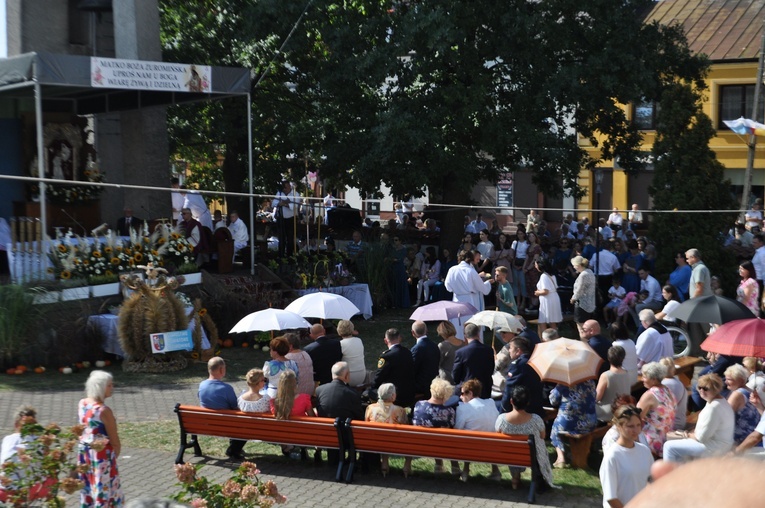 Żuromin. Odpust i dożynki
