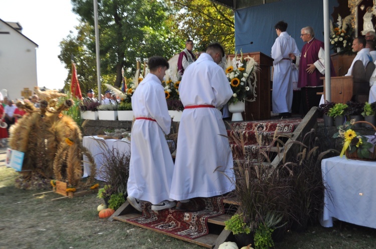 Żuromin. Odpust i dożynki