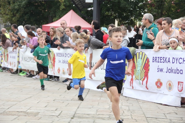 V Brzeska Dycha św. Jakuba