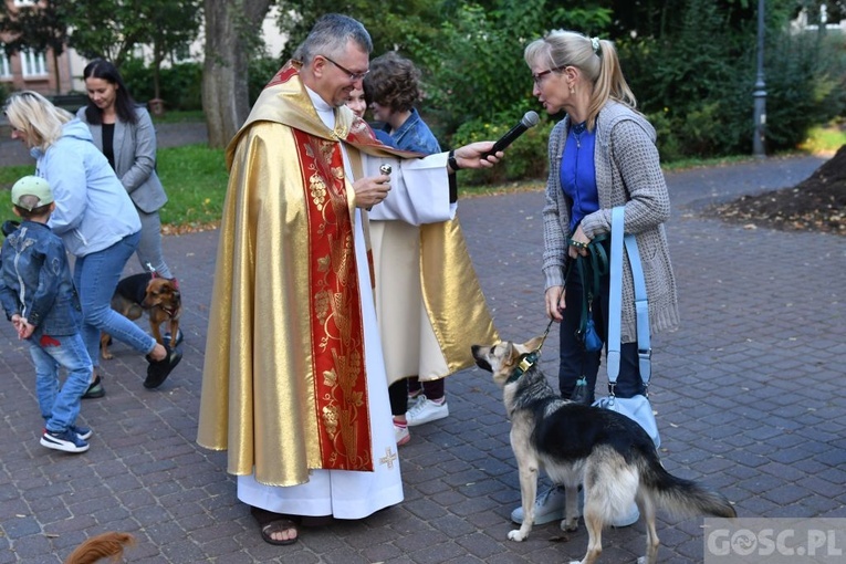 Błogosławieństwo zwierząt w Nowej Soli