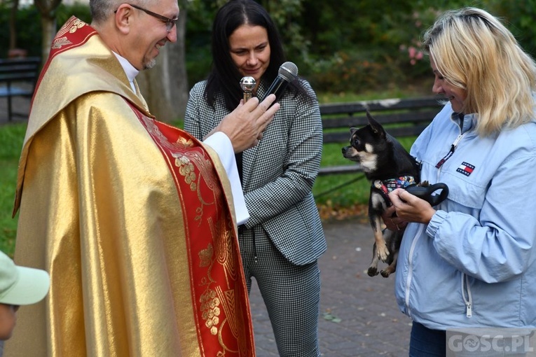 Błogosławieństwo zwierząt w Nowej Soli