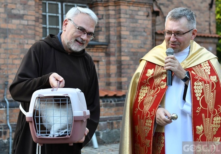 Błogosławieństwo zwierząt w Nowej Soli