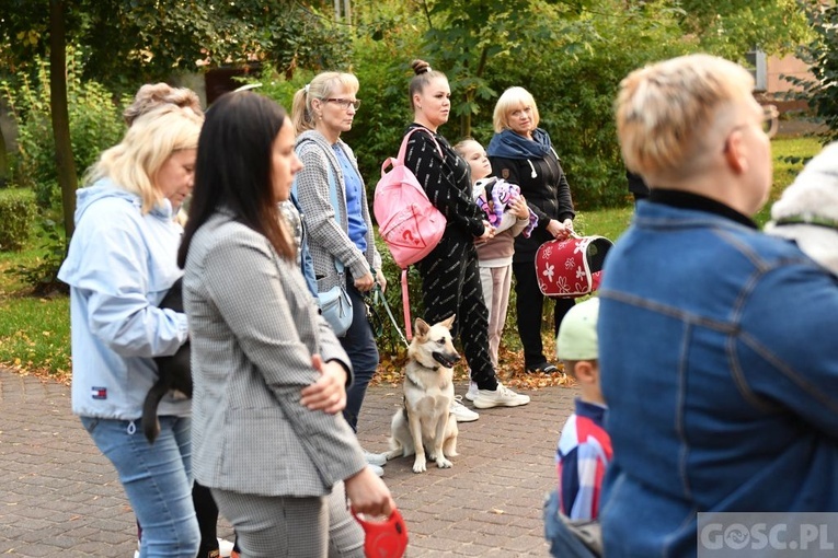 Błogosławieństwo zwierząt w Nowej Soli