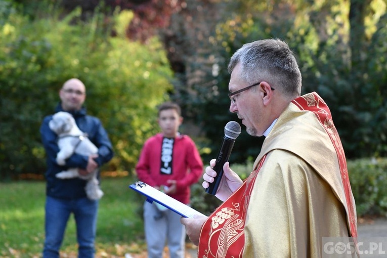 Błogosławieństwo zwierząt w Nowej Soli