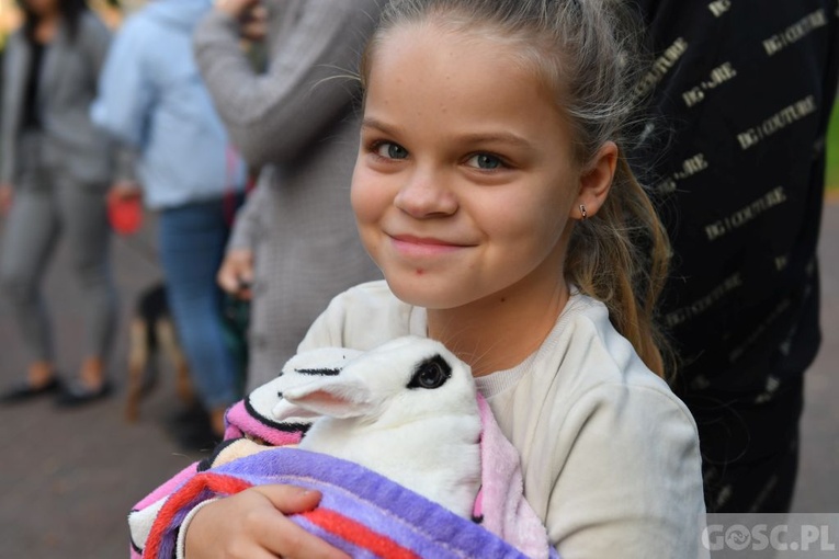 Błogosławieństwo zwierząt w Nowej Soli