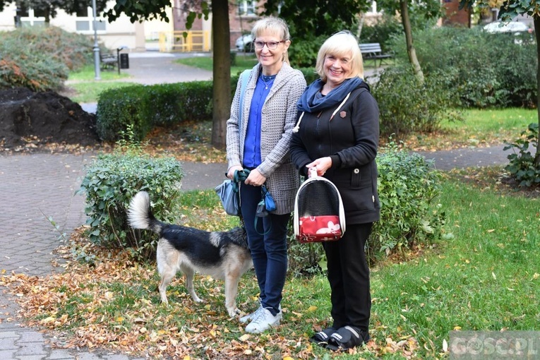 Błogosławieństwo zwierząt w Nowej Soli