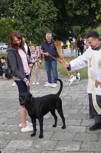 Błogoslawieństwo zwierzat w dzień św. Franciszka z Asyżu