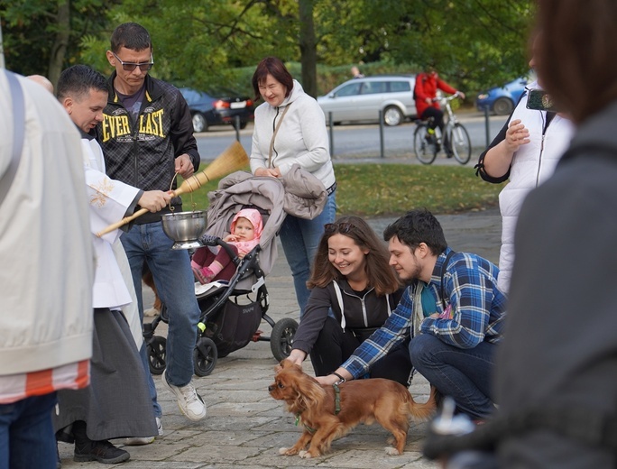 Błogoslawieństwo zwierzat w dzień św. Franciszka z Asyżu