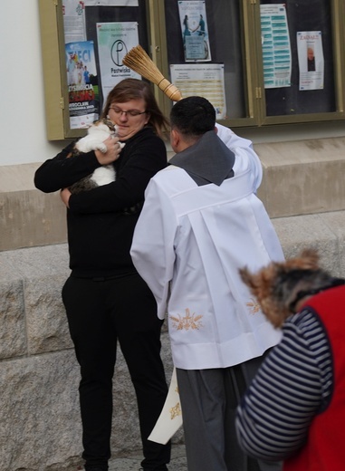 Błogoslawieństwo zwierzat w dzień św. Franciszka z Asyżu