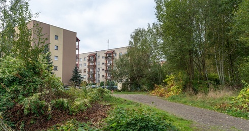 Będzie pierwsza velostrada w Katowicach. Rusza przetarg