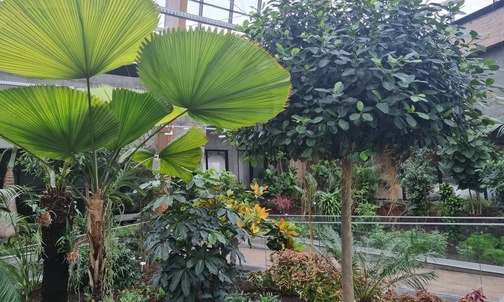 Sosnowiec. W grudniu otwarcie nowoczesnego Egzotarium