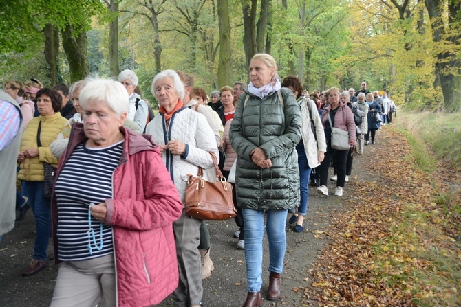 Diecezjalna pielgrzymka wspólnot Żywego Różańca