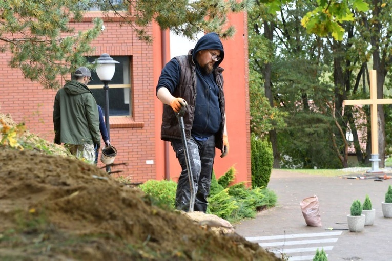 Powrót zieleni na Szmaragdowe Wzgórze