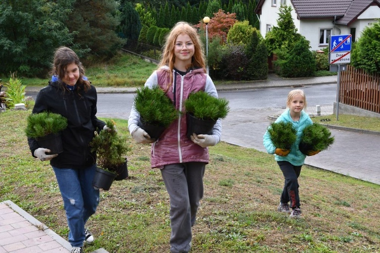 Powrót zieleni na Szmaragdowe Wzgórze