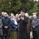 Kapliczka w Zielenicy