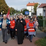 Dzień wolontariatu w Trzebnicy