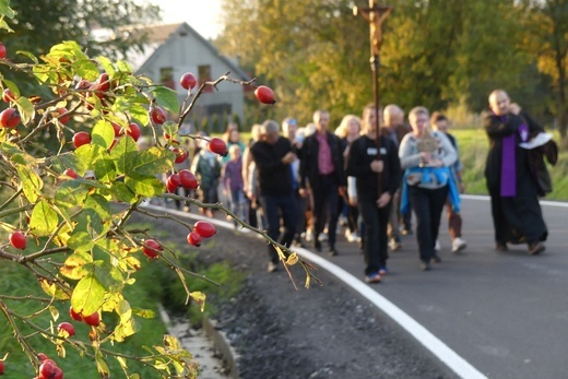 Zakończenie peregrynacji relikwii bł. rodziny Ulmów w Rychwałdzie