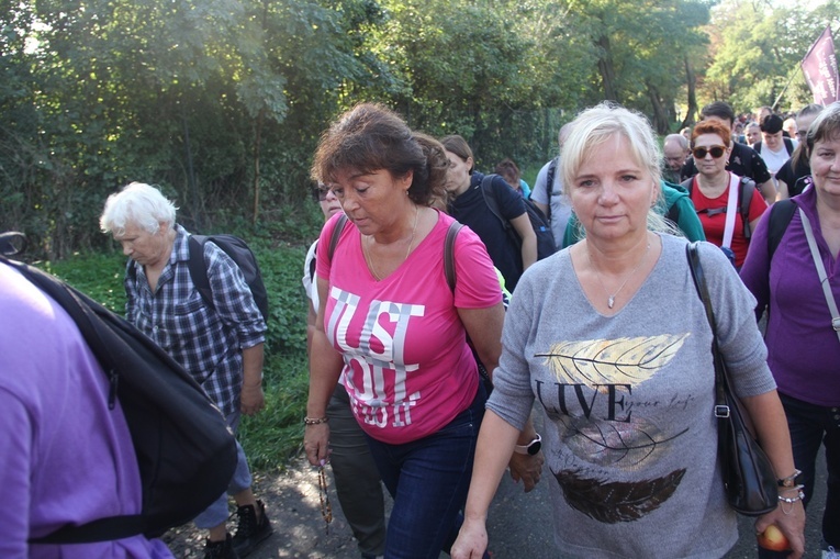 Pielgrzymka do Trzebnicy 2023 - cz. 14