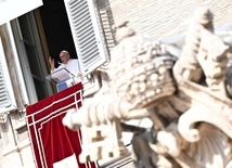 Papieski wywiad-rzeka: szukajmy rozwiązań prowadzących do integracji