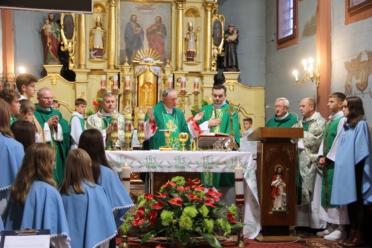 Pogwizdów. Poświęcenie groty Matki Bożej, plenerowej drogi krzyżowej i domu parafialnego