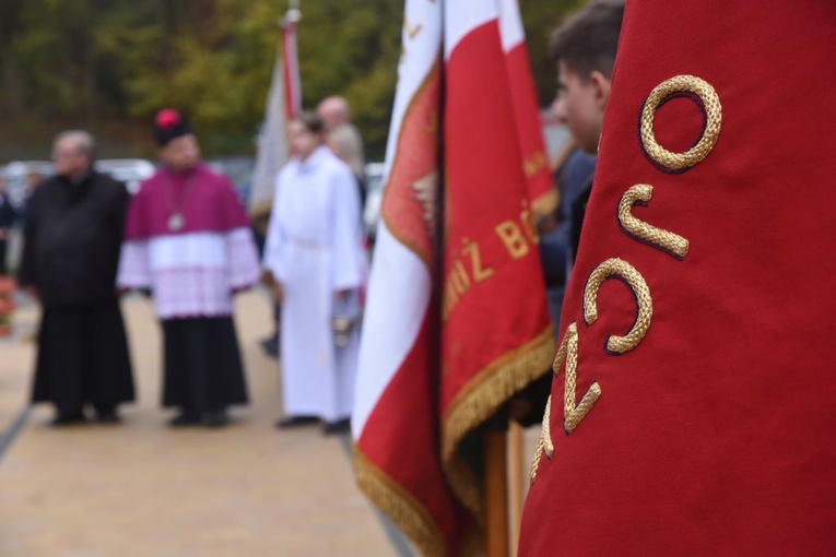 Żeleźnikowa dla Niepodległej