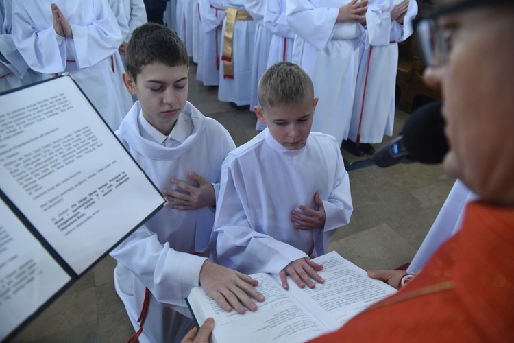 Lektorzy w bazylice św. Małgorzaty
