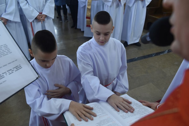 Lektorzy w bazylice św. Małgorzaty
