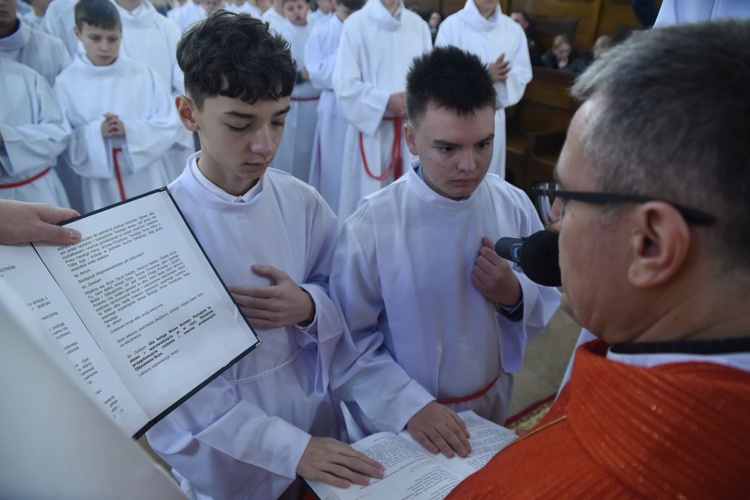 Lektorzy w bazylice św. Małgorzaty