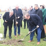 Dzień Ofar Wypadków Drogowych w Zabawie