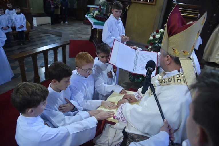 Lektorzy w Nawojowej