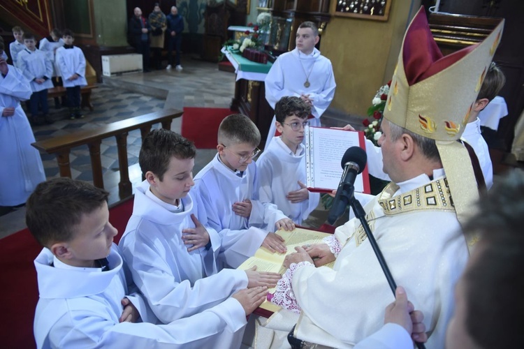 Lektorzy w Nawojowej