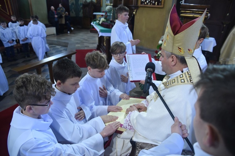 Lektorzy w Nawojowej