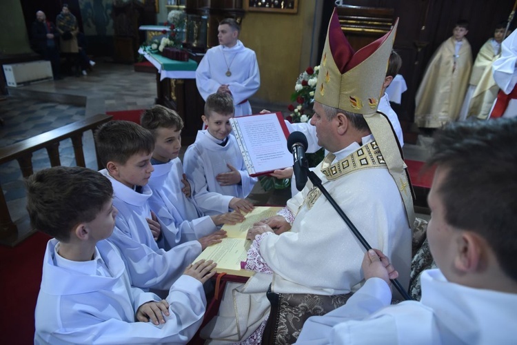 Lektorzy w Nawojowej