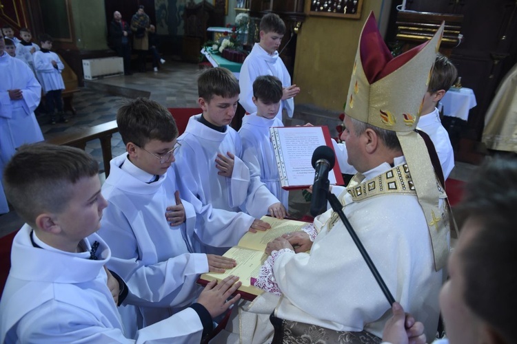 Lektorzy w Nawojowej