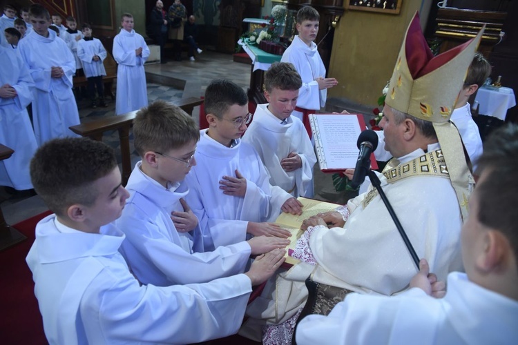 Lektorzy w Nawojowej