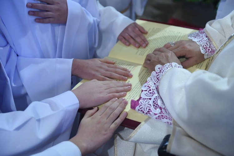 Lektorzy w Nawojowej