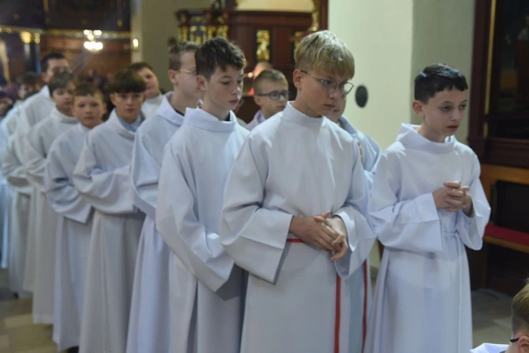 Lektorzy w Starym Sączu
