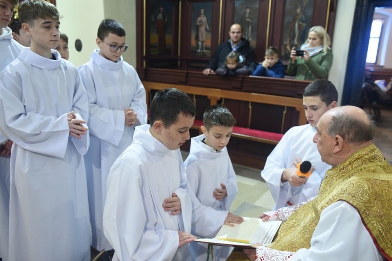 Lektorzy w Starym Sączu