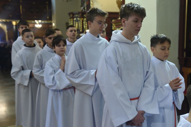 Lektorzy w Starym Sączu